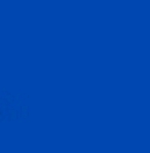 RR 35